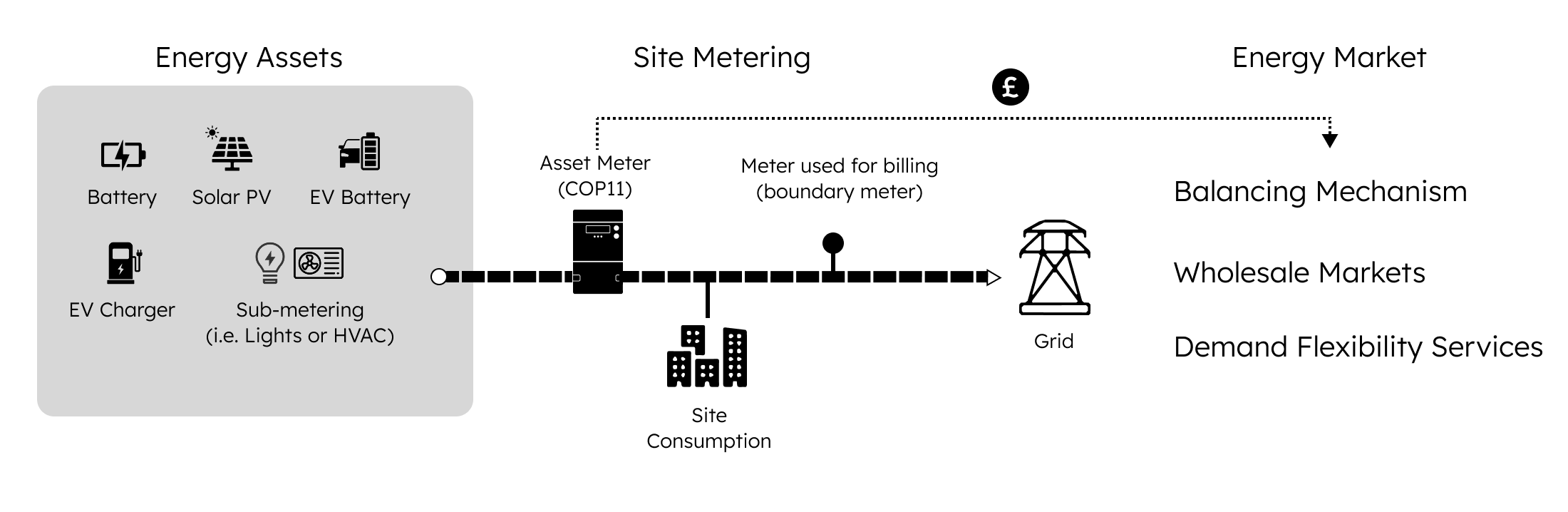 CoP11 Diagram